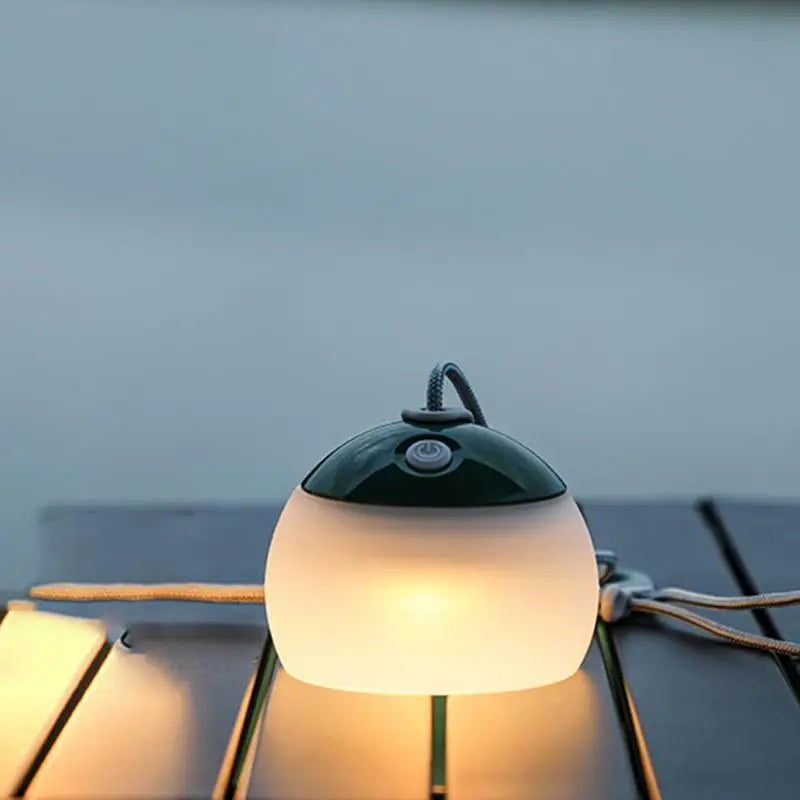 Portable LED Light With Hook