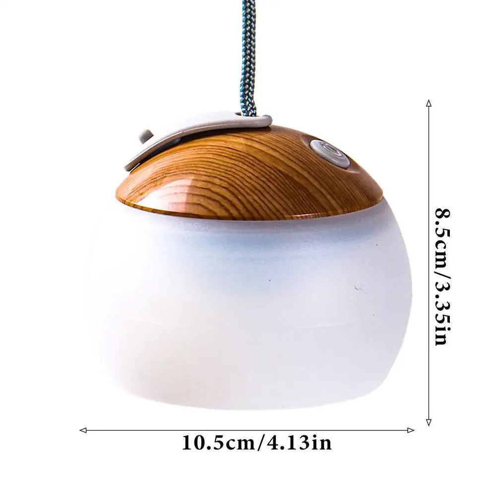 Portable LED Light With Hook