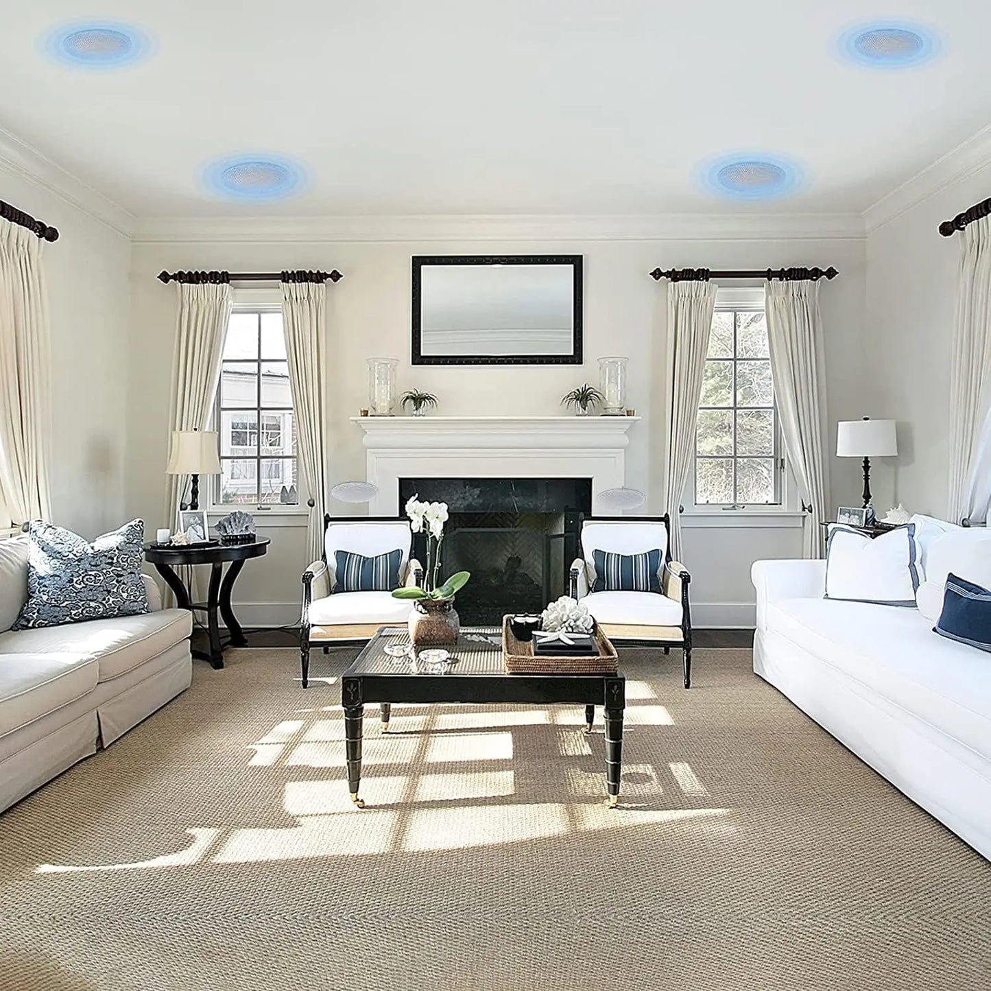 Herdio Two-Way Flush Mount Passive Ceiling Speakers