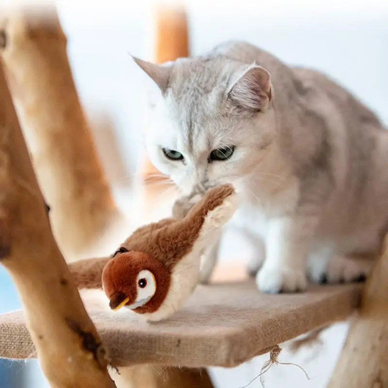 Rechargeable Pet Toy