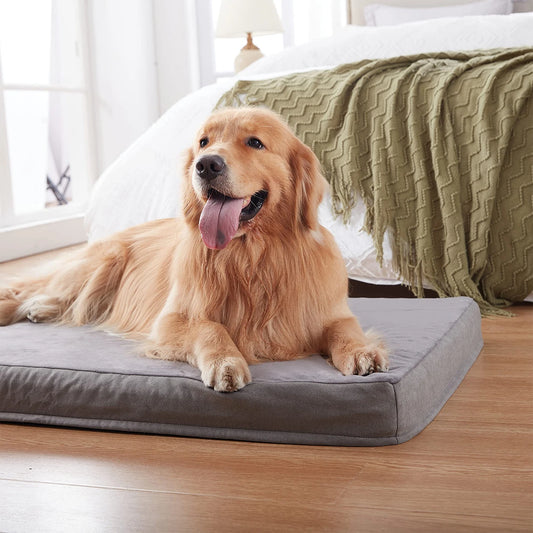 Deluxe Orthopedic Dog Bed