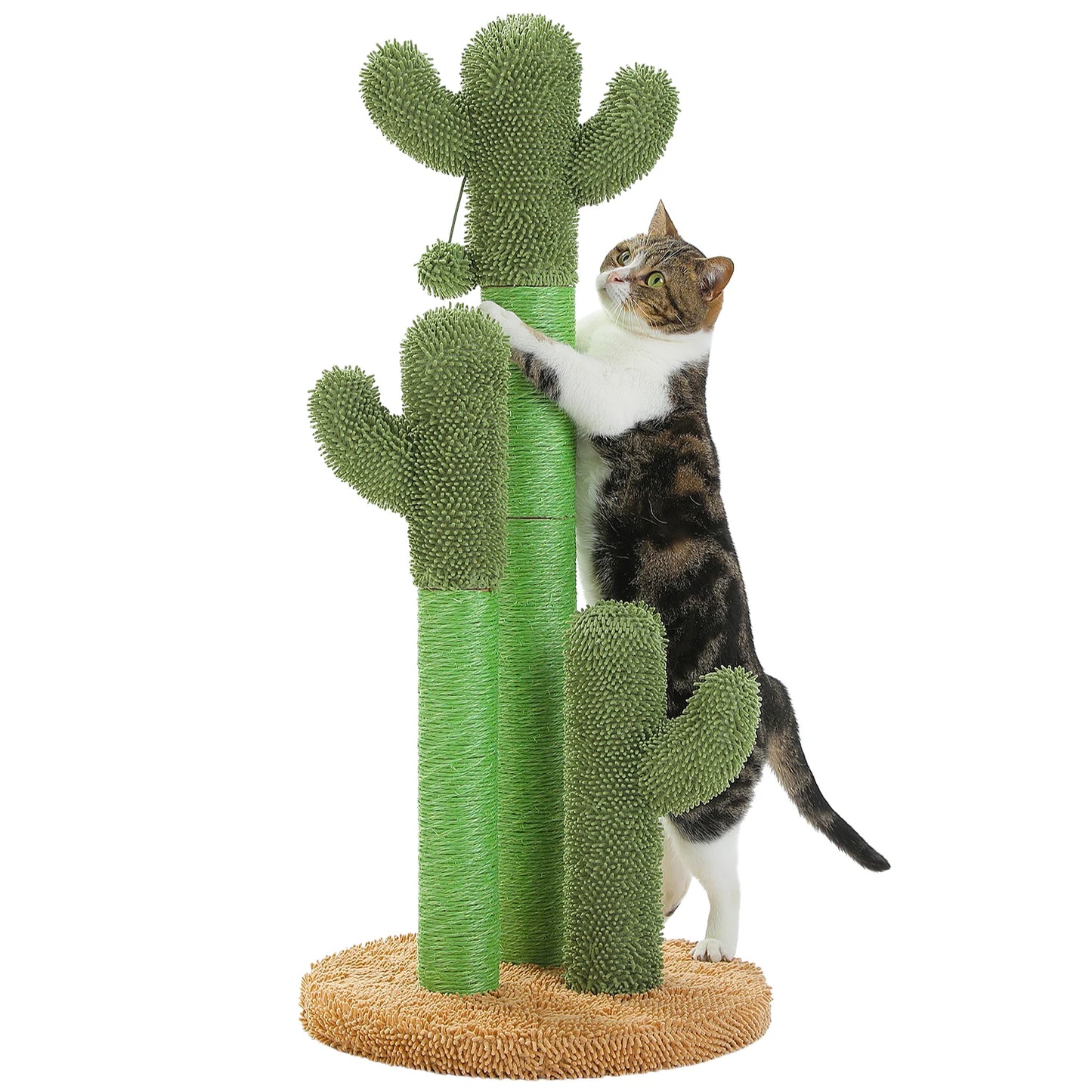 Natural Cat Scratching Post