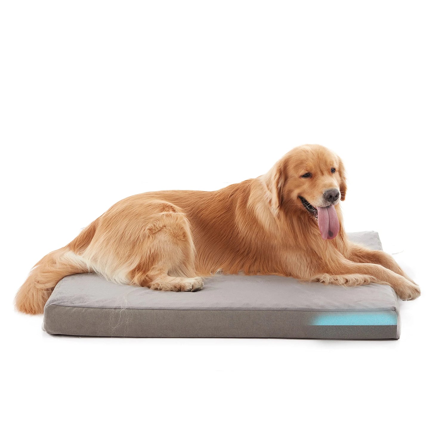 Deluxe Orthopedic Dog Bed
