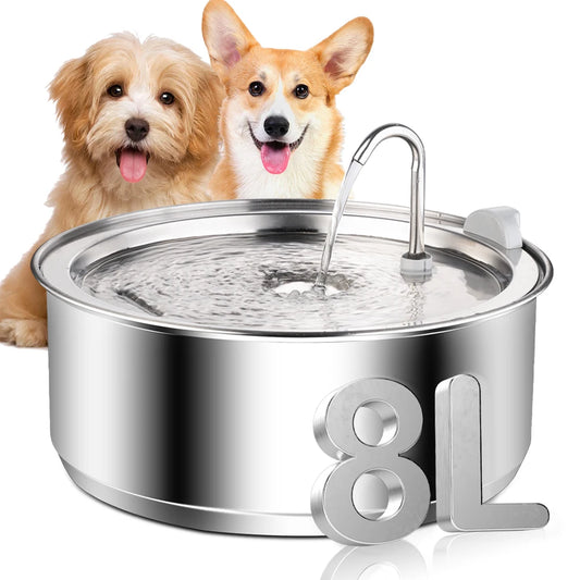 Pet Water Fountain